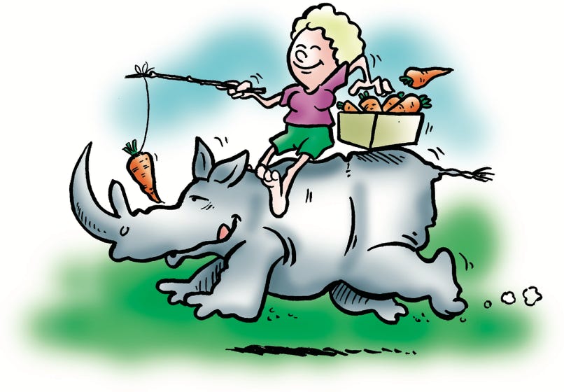 illustration rhino tamed næsehorn tæmmet